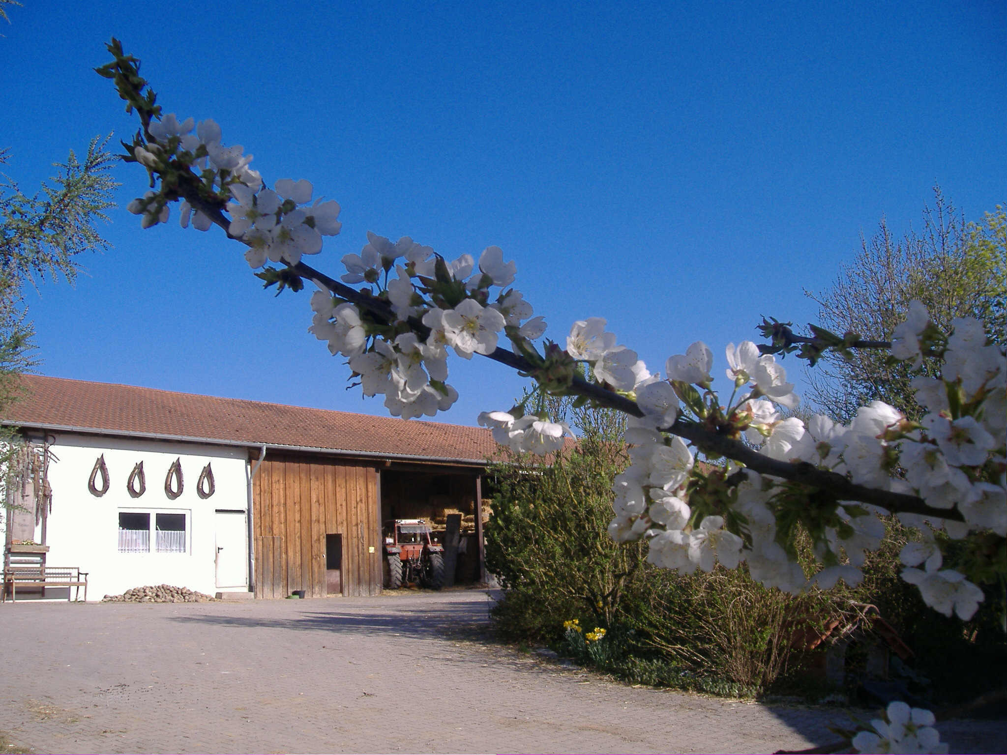 Blütezeit auf dem Talhof